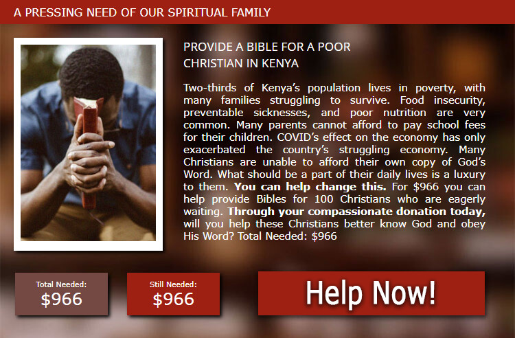Click to donate to the Strategic Bibles Ministry