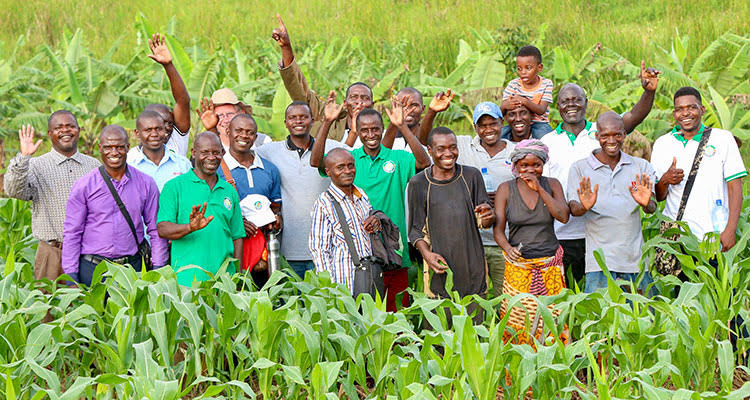 Picture of Farming God's Way farmers from Malawi, Rwanda, Uganda, Kenya, Zimbabwe and DR Congo