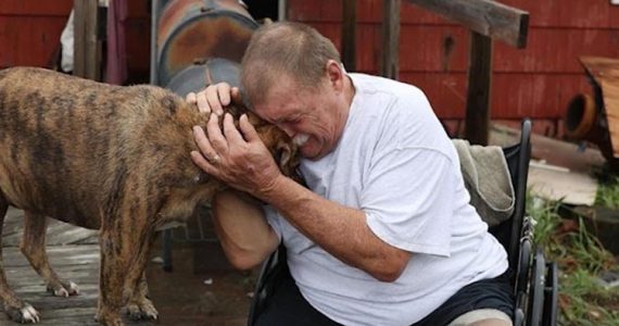 man weeping with dog after devastation of hurricane harvey