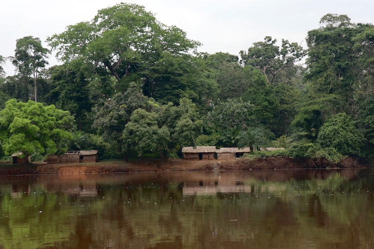Picture of Ngoko River
