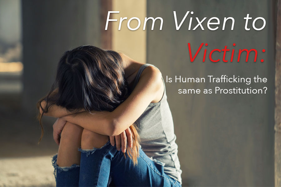 From Vixen to Victim